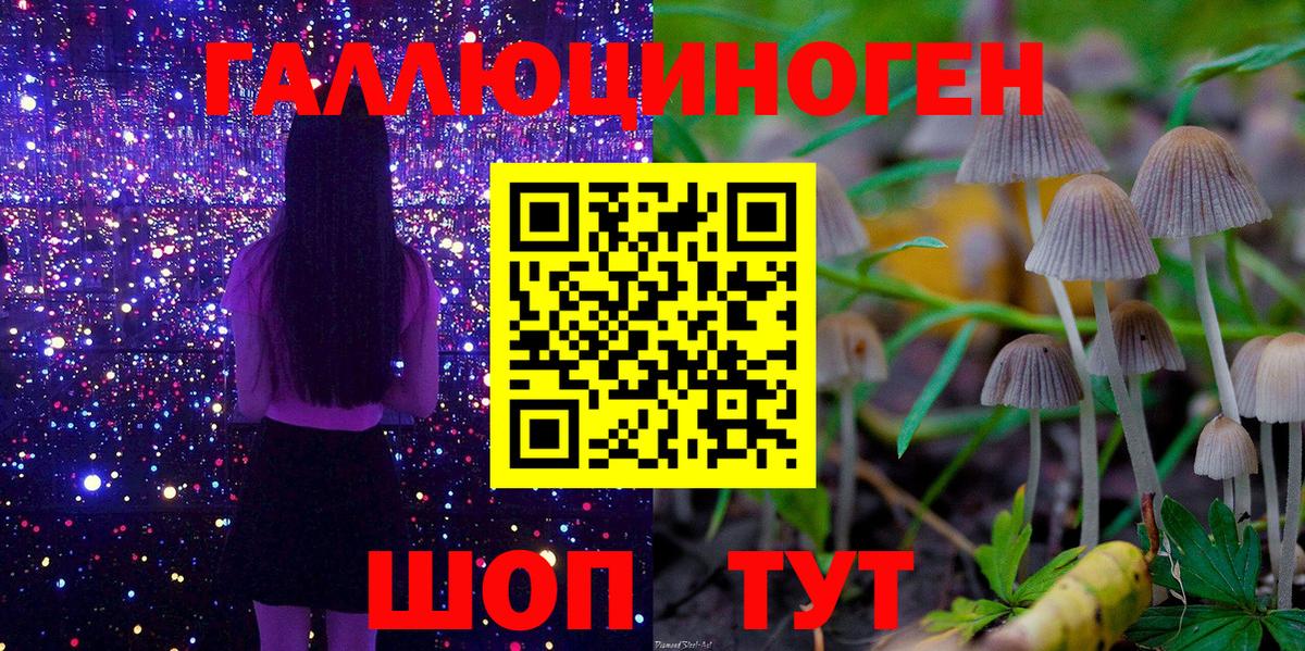 Галлюциногенные грибы прущие грибы Великий Устюг